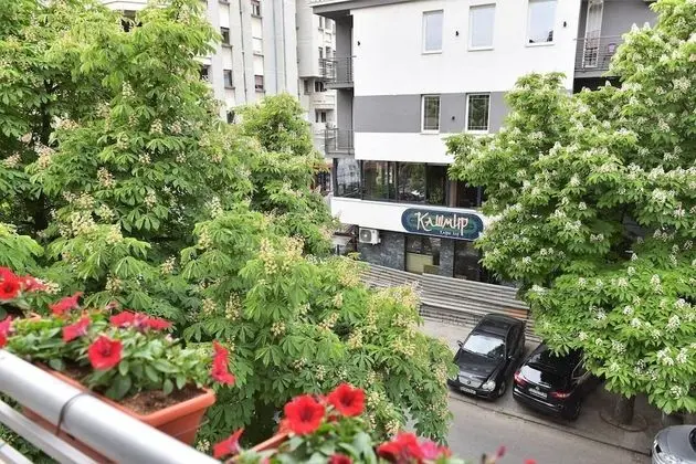 Stüdyo, Birden Çok Yatak