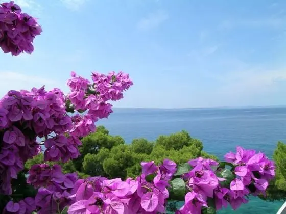 Apart Daire (Milica - sea view - A1(2+2))