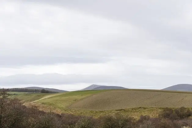 Kır Evi, Özel Banyo (2 Wee-Kalf)