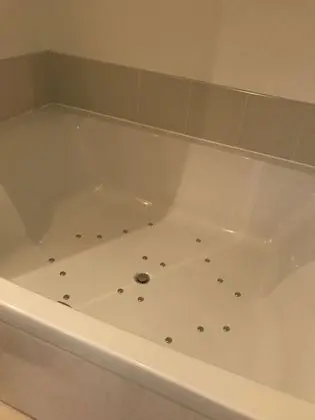 Süit