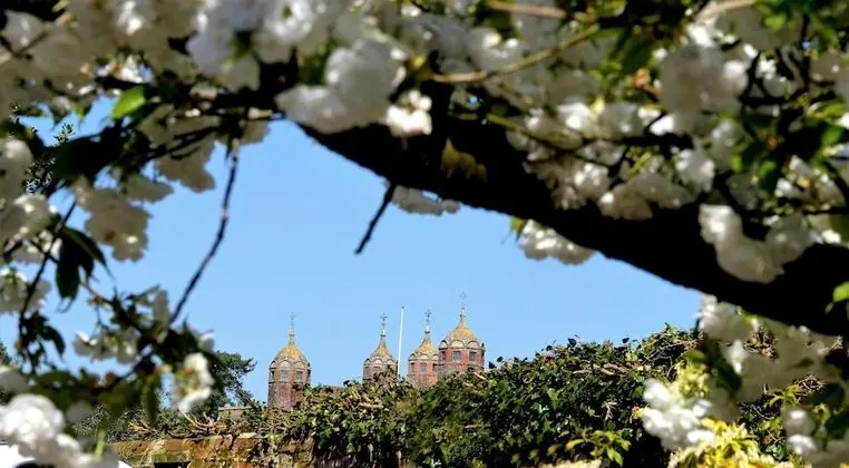 Deluxe Oda, 1 En Büyük (King) Boy Yatak, Şömine, Bahçeli