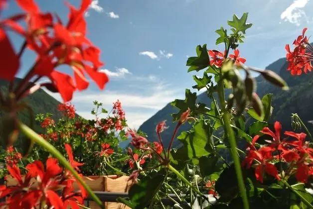 Tek Büyük Yataklı Oda, Balkon