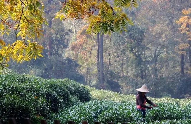 Premier Oda (South Block)