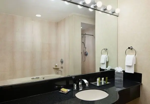 Luxury Süit, 1 Yatak Odası, Engellilere Uygun, Şehir Manzaralı (Roll In Shower)