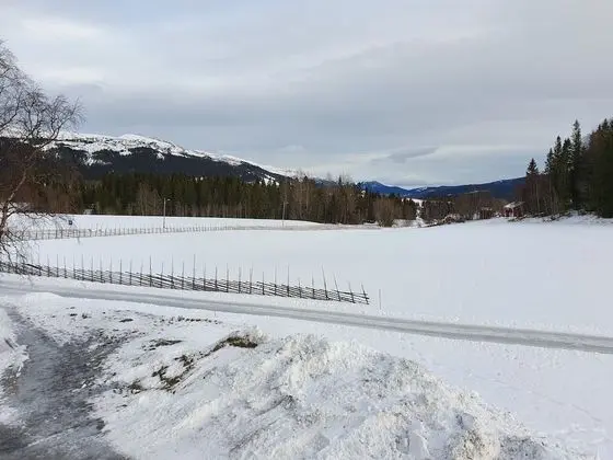Tek Büyük veya İki Ayrı Yataklı Oda, Ortak Banyo