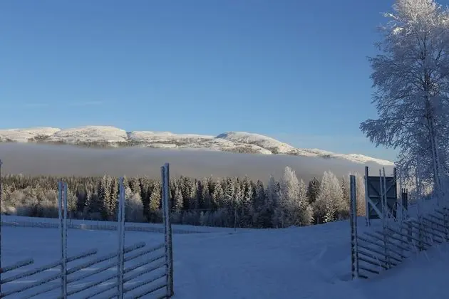 Tek Büyük veya İki Ayrı Yataklı Oda, Ortak Banyo