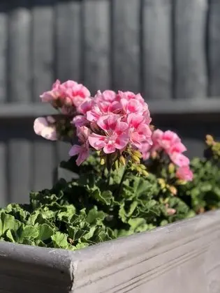 Traditional Kır Evi, Özel Banyo (Millie’s Cottage )