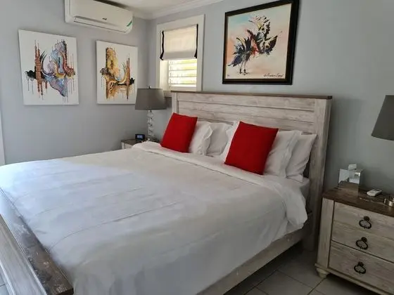 Premium Apart Daire, 1 En Büyük (King) Boy Yatak, Sigara İçilmez, Bahçe Manzaralı