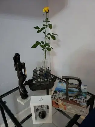 Premium Apart Daire, 1 En Büyük (King) Boy Yatak, Sigara İçilmez, Bahçe Manzaralı