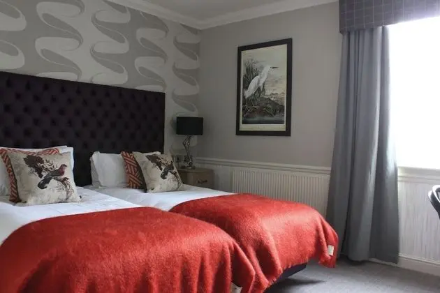 Executive Tek Büyük veya İki Ayrı Yataklı Oda (County Double or Twin Room)