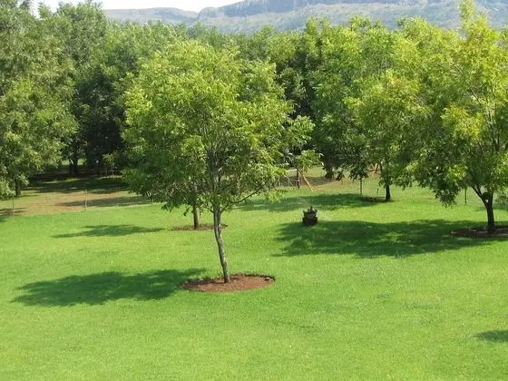 Standard Tek Büyük Yataklı Oda, 1 Yatak Odası