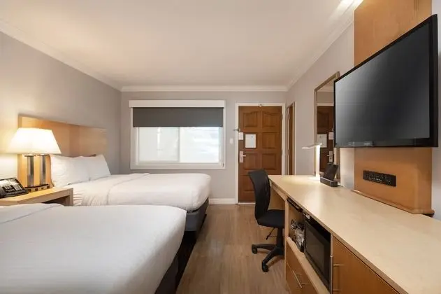 Deluxe Tek Büyük Yataklı Oda, 2 Çift Kişilik Yatak