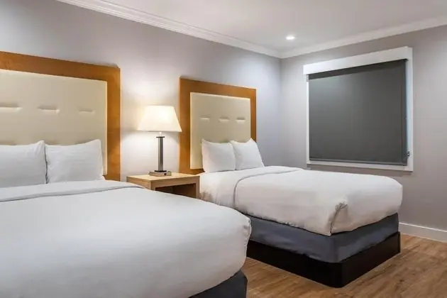 Deluxe Tek Büyük Yataklı Oda, 2 Çift Kişilik Yatak