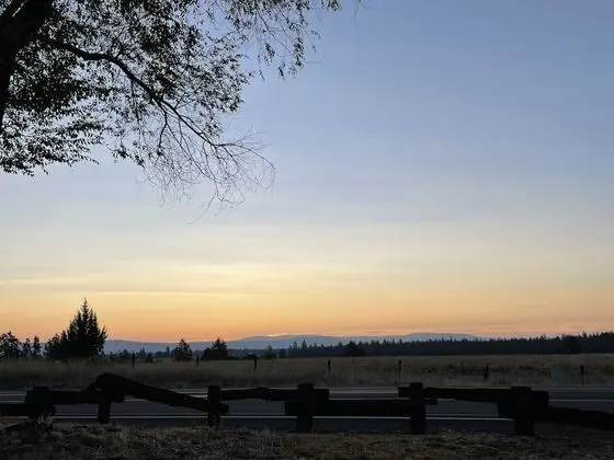 Deluxe Stüdyo Süit