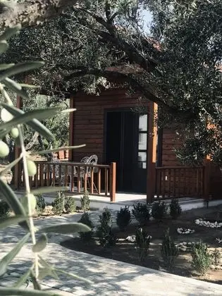 Deluxe Ağaç Ev