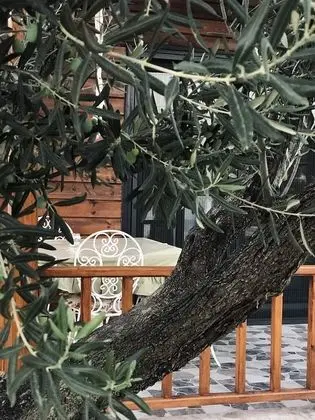 Deluxe Ağaç Ev