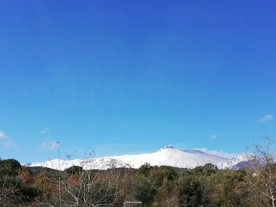 Panoramic Tek Büyük Yataklı Oda