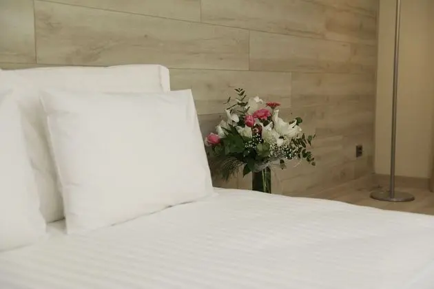 Deluxe Tek Büyük veya İki Ayrı Yataklı Oda, Şehir Manzaralı