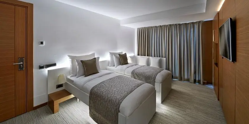Superior İki Tek Yataklı Oda, Şehir Manzaralı