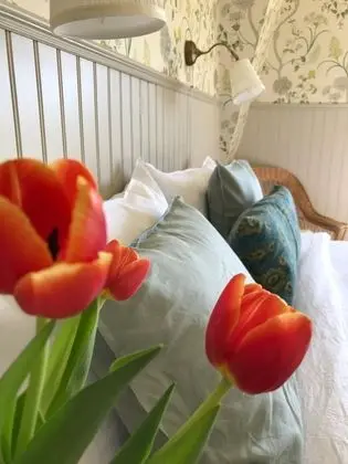 Tek Büyük Yataklı Oda (South)