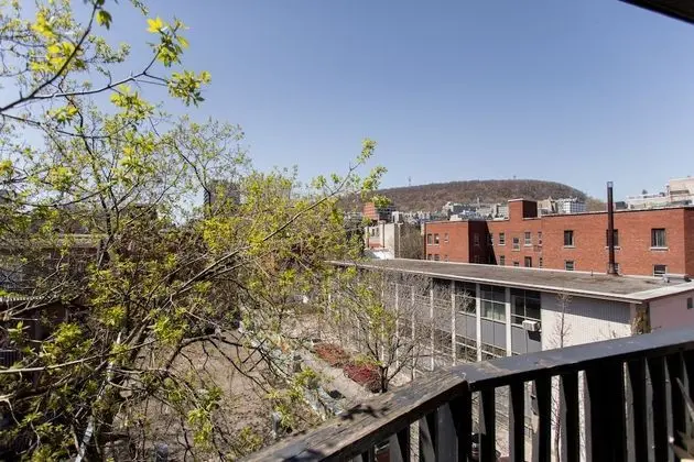 Comfort Stüdyo, Avlu Manzaralı