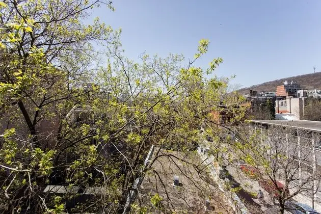 Comfort Stüdyo, Avlu Manzaralı