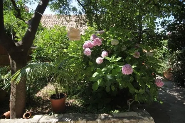 Apart Daire (Milu - 80 m from sea - A1(4+1))