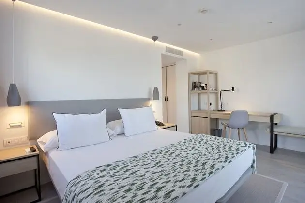 Premium Tek Büyük Yataklı Oda (Street Views)