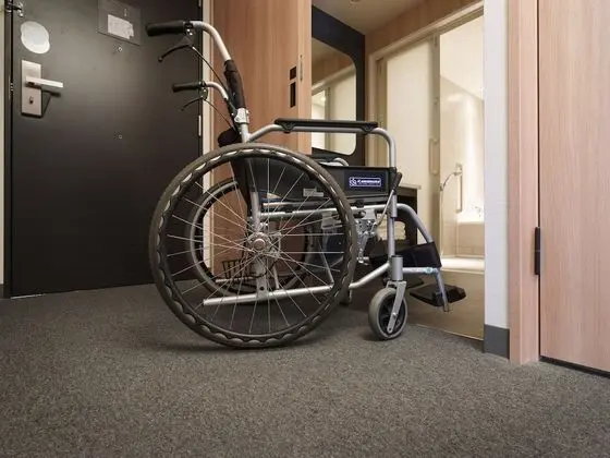 Deluxe Apart Daire, 2 Yatak Odası, Sigara İçilmez (Suite)