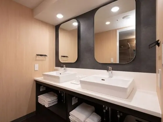 Deluxe Apart Daire, 1 Yatak Odası, Sigara İçilmez (Japanese)