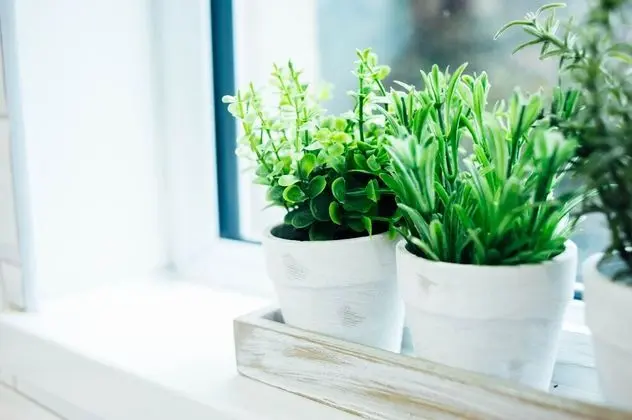 Luxury Apart Daire, Özel Banyo, Avlu Manzaralı