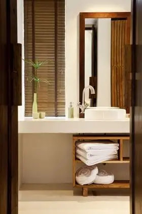 Villa, Havuz Erişimli (Jacuzzi Pool Villa)