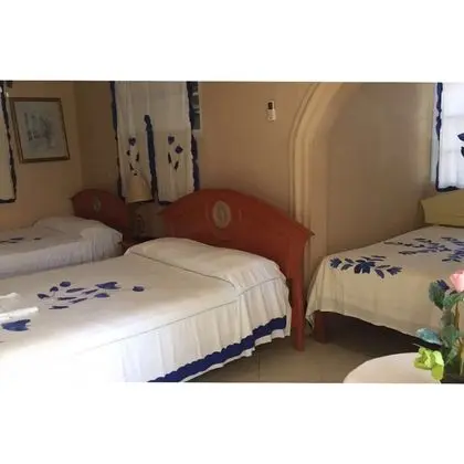Family Üç Kişilik Oda, 3 Tek Kişilik Yatak, Sigara İçilmez, Mikrodalga
