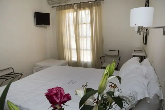 Tek Büyük veya İki Ayrı Yataklı Oda, Balkon, Bahçe Manzaralı