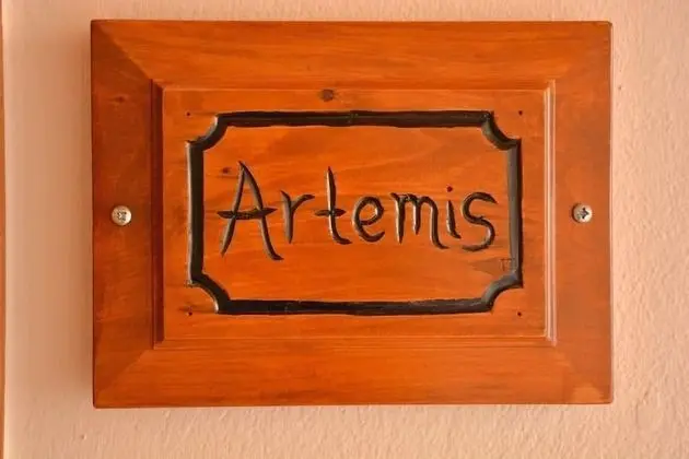 Apart Daire, 1 Yatak Odası, Şehir Manzaralı (Artemis)