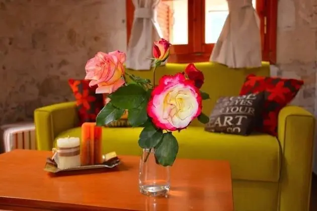 Apart Daire, 1 Yatak Odası, Şehir Manzaralı (Artemis)