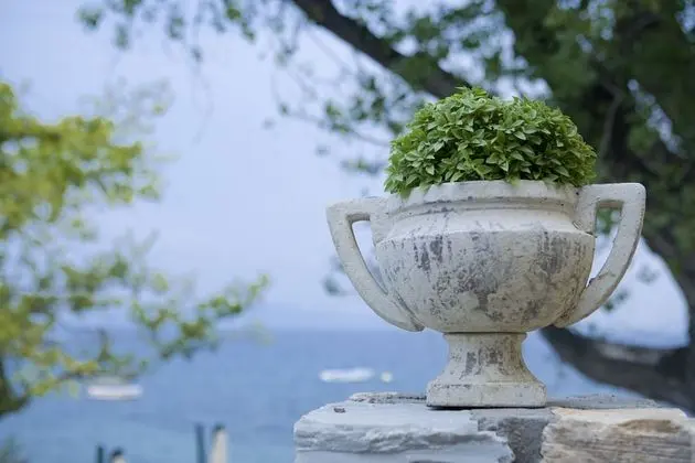 Süit, 1 Yatak Odası, Deniz Manzaralı