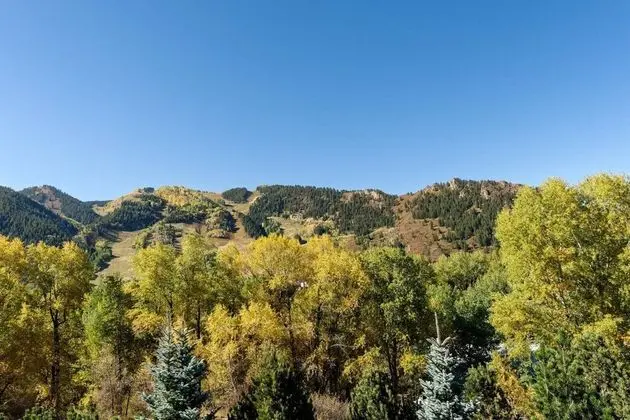 Ev (Miners Trail Road Home)