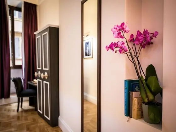 Superior Tek Büyük Yataklı Oda