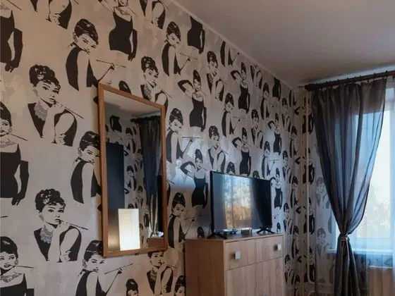 Classic Tek Büyük Yataklı Oda (2)