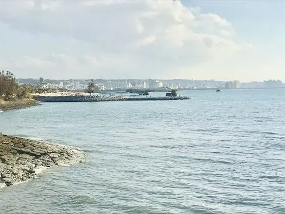 Basic Oda, Deniz Manzaralı