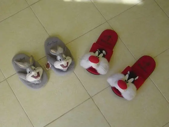 Economy İki Ayrı Yataklı Oda, 1 Yatak Odası, Bahçe Manzaralı