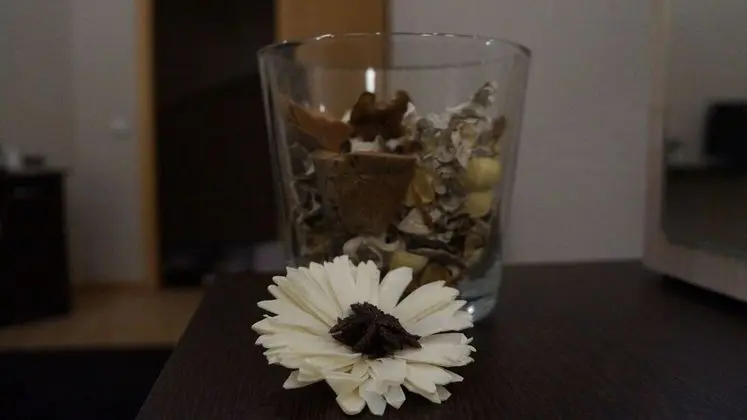 Basic Tek Kişilik Oda, 1 Tek Kişilik Yatak, Avlu Manzaralı, Avlu