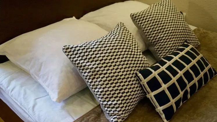Standard Tek Büyük Yataklı Oda, 1 Çift Kişilik Yatak, Avlu