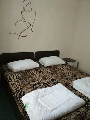 Standard Tek Büyük veya İki Ayrı Yataklı Oda