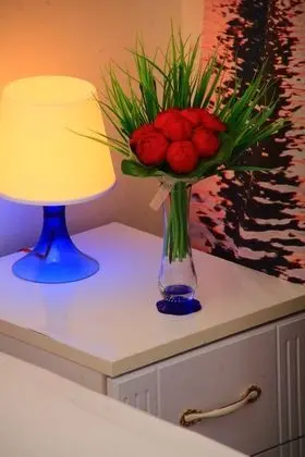 Standard Tek Büyük Yataklı Oda, 1 Büyük (Queen) Boy Yatak, Zemin Kat