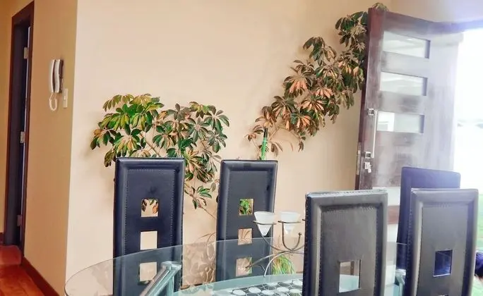 Premium Apart Daire, Mutfak