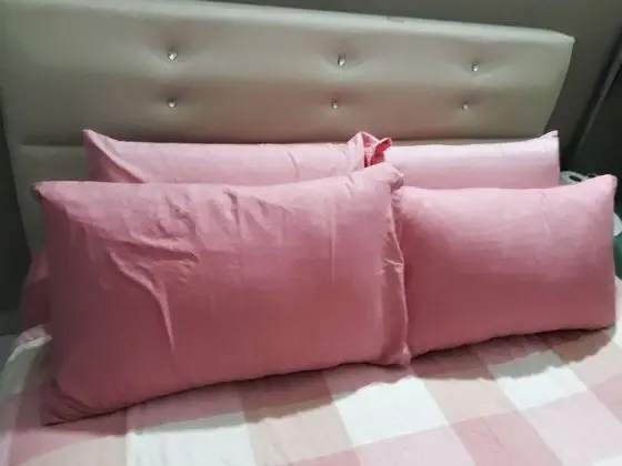 Standard Apart Daire, 1 Yatak Odası