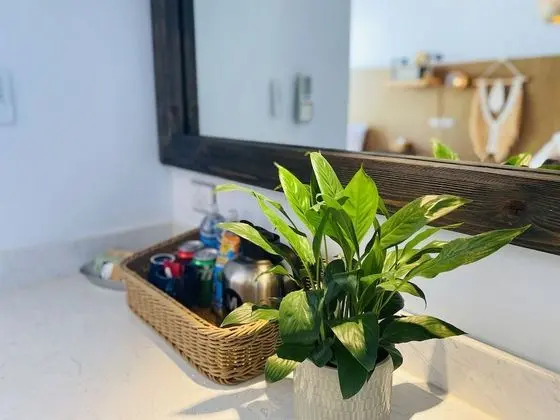 Deluxe Tek Büyük Yataklı Oda, Balkon, Deniz Manzaralı