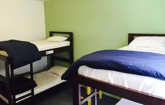 Basic Ortak Ranzalı Oda, Birden Çok Yatak Odası (4 beds)